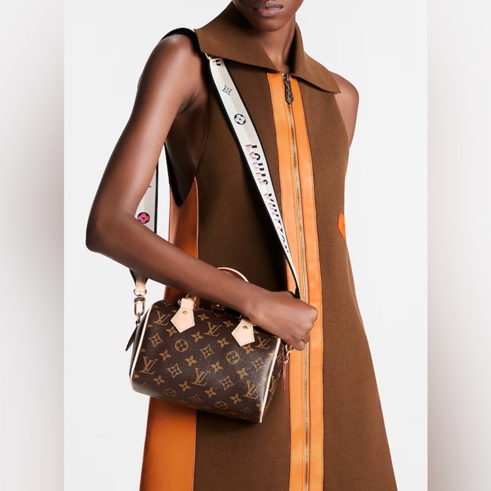 Louis Vuitton mini speedy